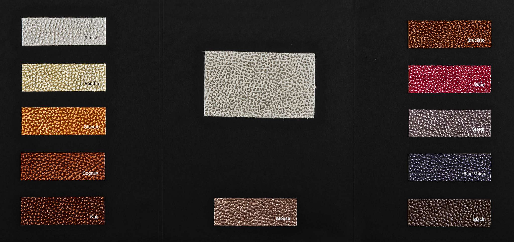 Pieraccioni color card Ta.go srl